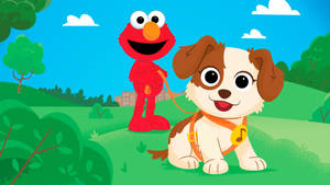 Elmo And Dog In Field Wallpaper