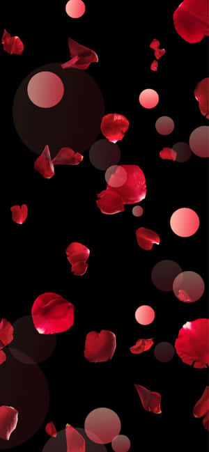 Eloquent Red Rose Petal On A Subtle Background Wallpaper