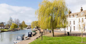 Ely Riverside Scenery Wallpaper