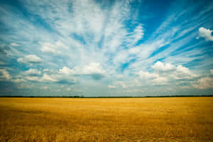 Embarking On A Journey Of Discovery With Blue Skies Ahead Wallpaper