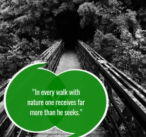 Embrace Nature's Serenity Wallpaper