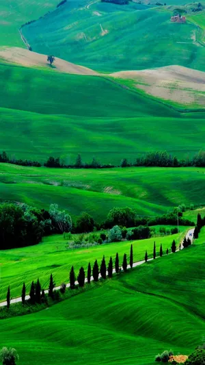 Embrace Nature With The Latest Technology! Wallpaper