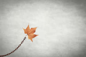 Embrace The Beauty Of Minimalist Autumn Wallpaper