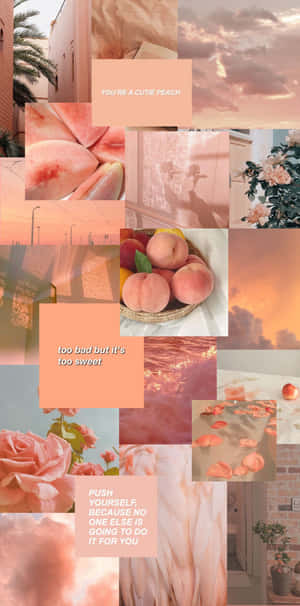 Embrace The Beauty Of Peach & Orange Wallpaper