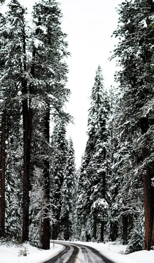 Embrace The Cozy Beauty Of Winter Wallpaper