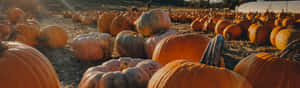 Embrace The Essence Of Fall With Vibrant Pumpkins And Leaves Wallpaper