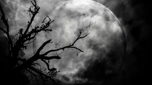 Embrace The Moonlight Wallpaper