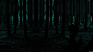 Embrace The Tranquility Of A Lone, Dark Forest At Night Wallpaper