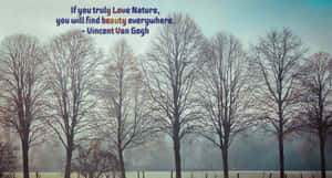 Embrace Your Natural Beauty Wallpaper