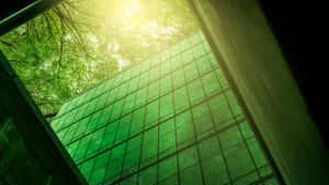 Embracing Green Finance For A Sustainable Future Wallpaper