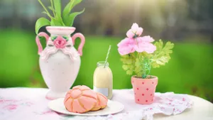 Embracing Spring Outdoors Wallpaper