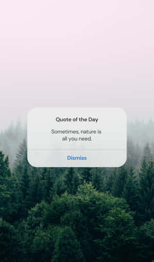 Embracing The Serenity Of Nature Wallpaper