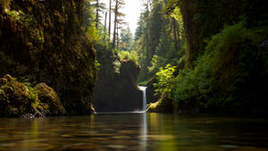 Emerald Bliss: A Mini Waterfall In Pristine Wilderness Wallpaper