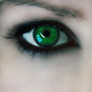 Emerald Gaze Closeup Wallpaper