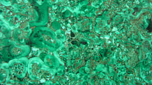 Emerald Green Marble Texture Wallpaper