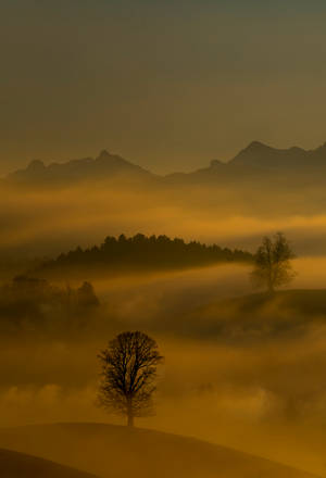 Emerald Green Mist In Mountain Wallpaper