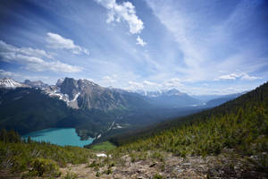 Emerald Green Mountain Plants Wallpaper