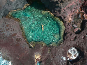 Emerald Green Natural Pool Aerial View Wallpaper