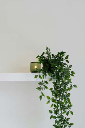 Emerald Green Plant Minimalist Decor Wallpaper