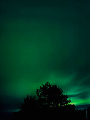 Emerald Green Sky Wallpaper