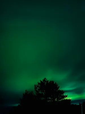 Emerald Night Sky Aurora Wallpaper