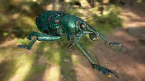 Emerald Weevil Closeup Wallpaper