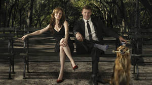 Emily Deschanel David Boreanaz Bones Wallpaper