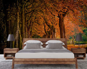 Enchanted 3d Forest Wallpaper Wallpaper