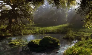 Enchanted And Mysterious Pond Wallpaper