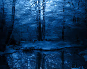 Enchanted Blue Forest Winter Night Wallpaper