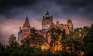 Enchanted_ Evening_ Castle_ Illumination Wallpaper