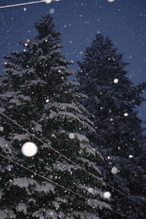 Enchanted_ Evening_ Snowfall Wallpaper