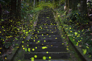 Enchanted Firefly Staircase Wallpaper