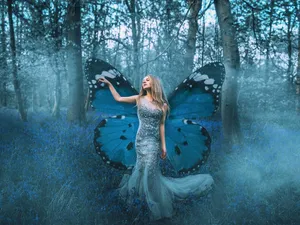 Enchanted Forest Butterfly Dress Wallpaper
