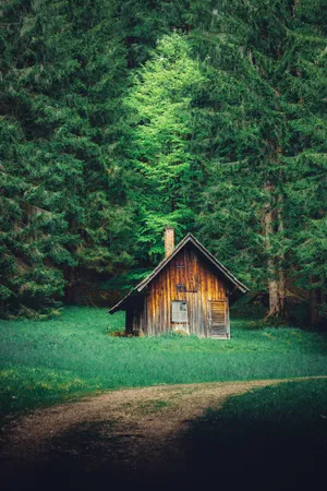 Enchanted_ Forest_ Cabin_ Goblincore.jpg Wallpaper