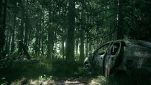 Enchanted Forest Car Wreck Wallpaper