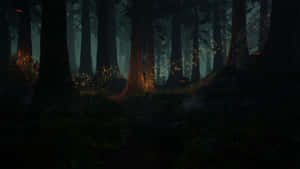 Enchanted_ Forest_ Glowing_ Lights.jpg Wallpaper