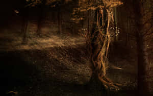 Enchanted Forest Night Whispers.jpg Wallpaper