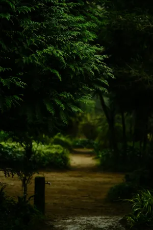 Enchanted Forest Pathway Wallpaper