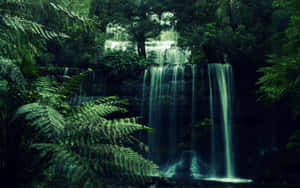 Enchanted_ Forest_ Waterfall.jpg Wallpaper