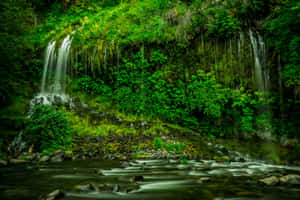 Enchanted_ Forest_ Waterfall_ Scene.jpg Wallpaper