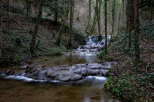 Enchanted_ Forest_ Waterfall_ Stream Wallpaper