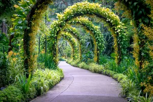 Enchanted_ Garden_ Archway_ Singapore_ Botanic_ Gardens Wallpaper