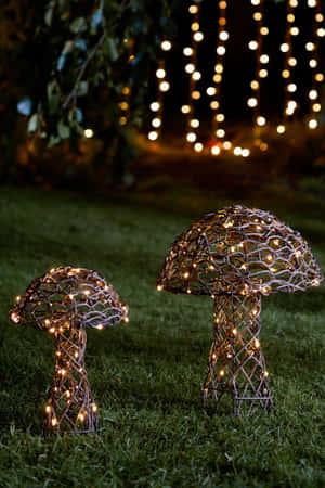 Enchanted Garden Mushroom Lights Wallpaper