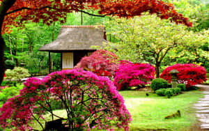 Enchanted Japanese Garden Beauty Wallpaper