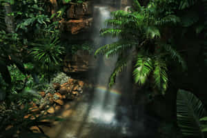 Enchanted_ Jungle_ Waterfall_ Rainbow.jpg Wallpaper