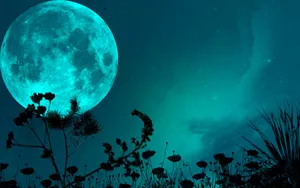 Enchanted Moonlit Night Sky Wallpaper