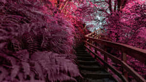 Enchanted Pink Forest Pathway Wallpaper