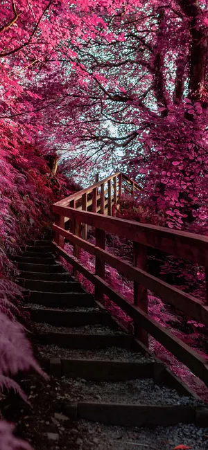 Enchanted Pink Forest Pathway Wallpaper
