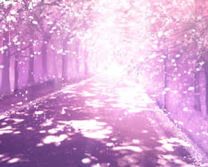 Enchanted Pink Sakura Lane Wallpaper